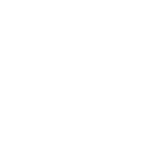 Opus Interactive Status