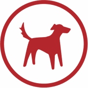 Redtail Technology Status