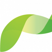 TurnPoint Software Status